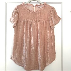 Crushed Velvet Ruffle Neck Top in Champagne Spritz